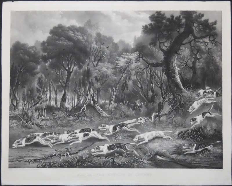 Giller Foxhunting