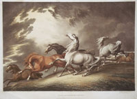 Howett: Horses frightenid by a Storm