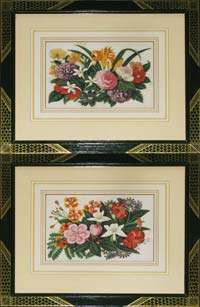 Chinese Botanical Paintings