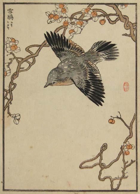 Japanese Birds