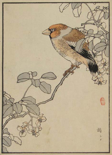 Japanese Birds