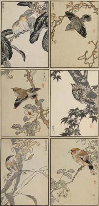 Japanese Birds