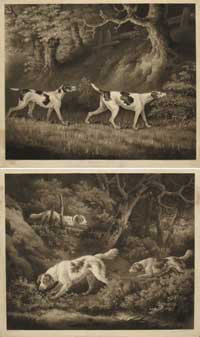 Ward Morland Dogs