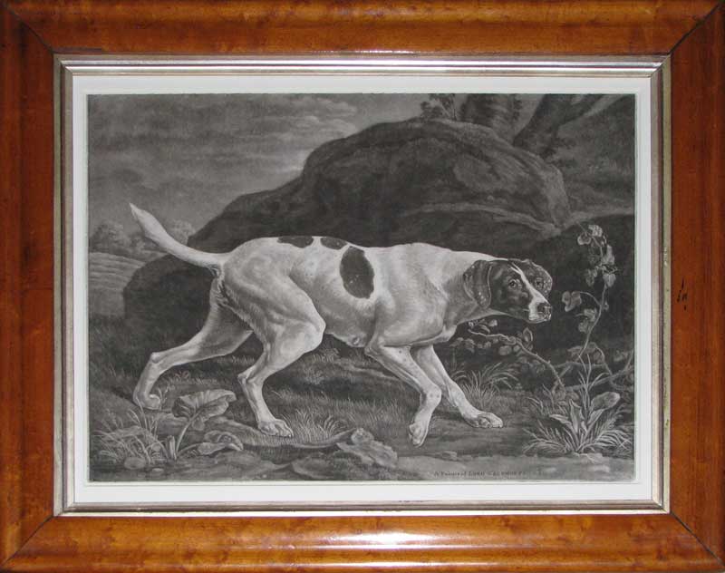 Green Stubbs Pointer