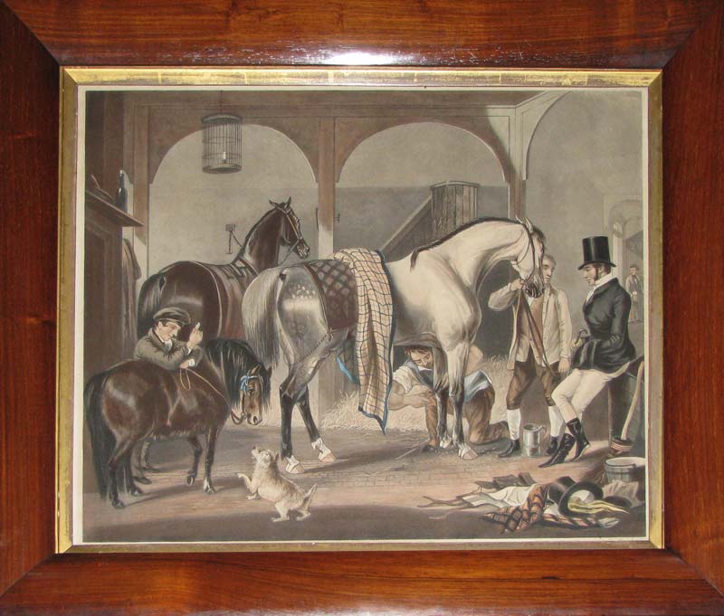 Mackrell Clipper Vet Horses