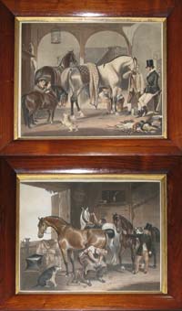 Mackrell Clipper Vet Horses