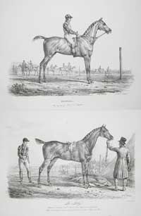 Vernet Horses